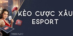 Cược xâu Esport là gì ? Khám phá kèo cược lãi khủng này